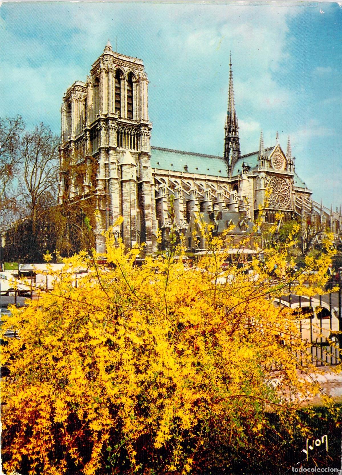 Postales: Postal de la Catedral de Notre-Dame en Par&iacute;s con Flores Amarillas