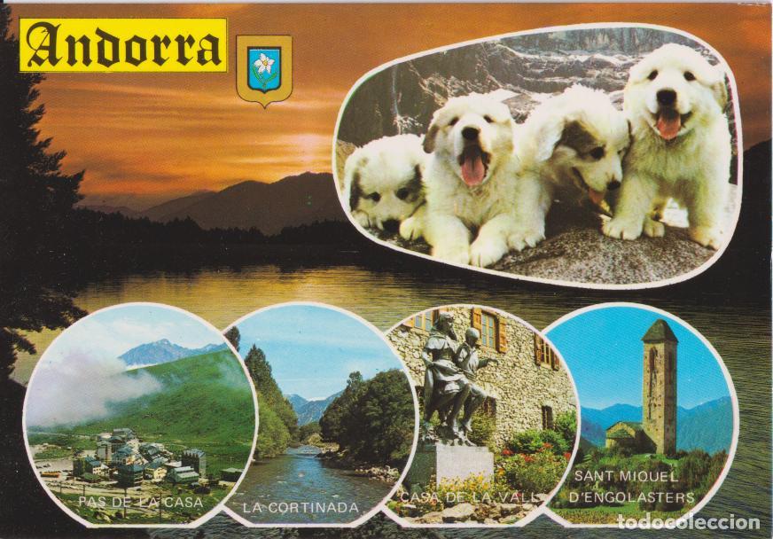Postales: VALLS D'ANDORRA, DIFERENTS ASPECTES - ESCUDO DE ORO N&ordm;432 - S/C