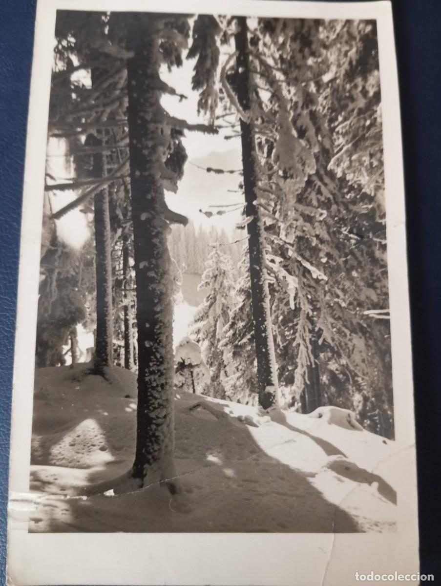 Postales: POSTAL P0LACA, 1954, PAISAJE NEVADO, CIRCULADA