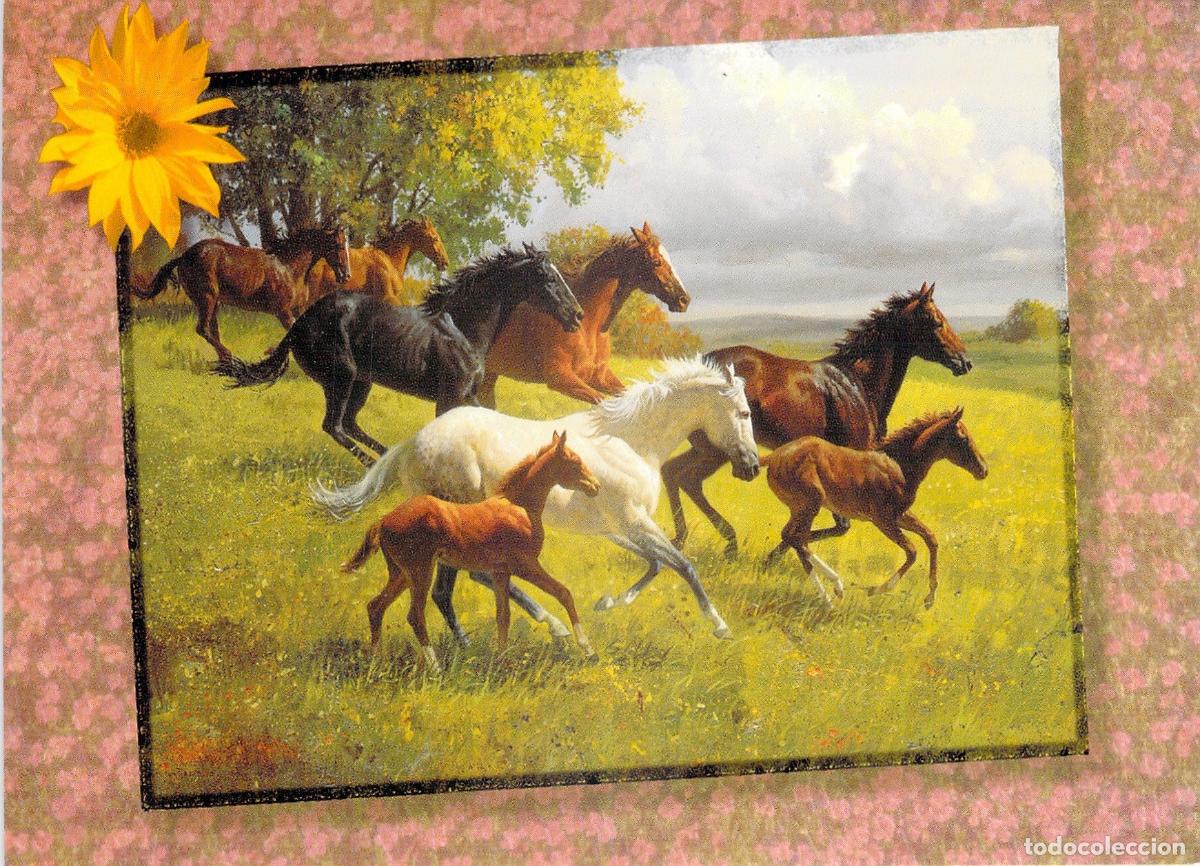 Postales: Postal de Caballos en Libertad Galopando por el Campo