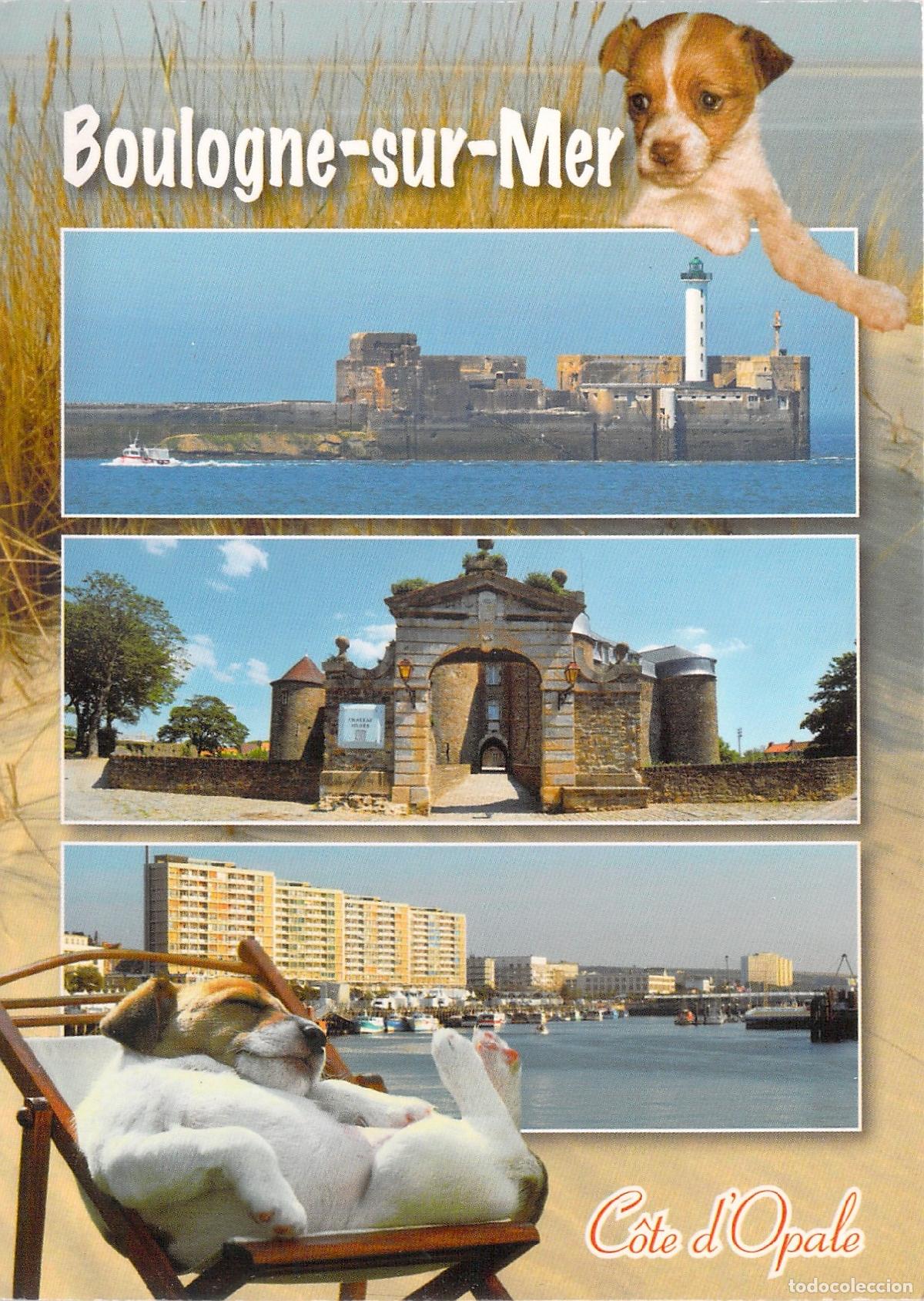 Cartoline: Postal de Boulogne-sur-Mer, Francia con im&aacute;genes de la ciudad y cachorro