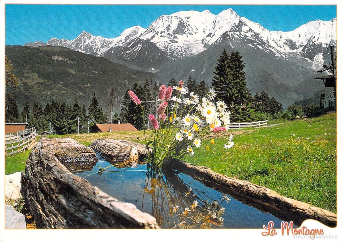 Postcards: Postal Paisaje Monta&ntilde;a Alpes Franceses y Flores Silvestres