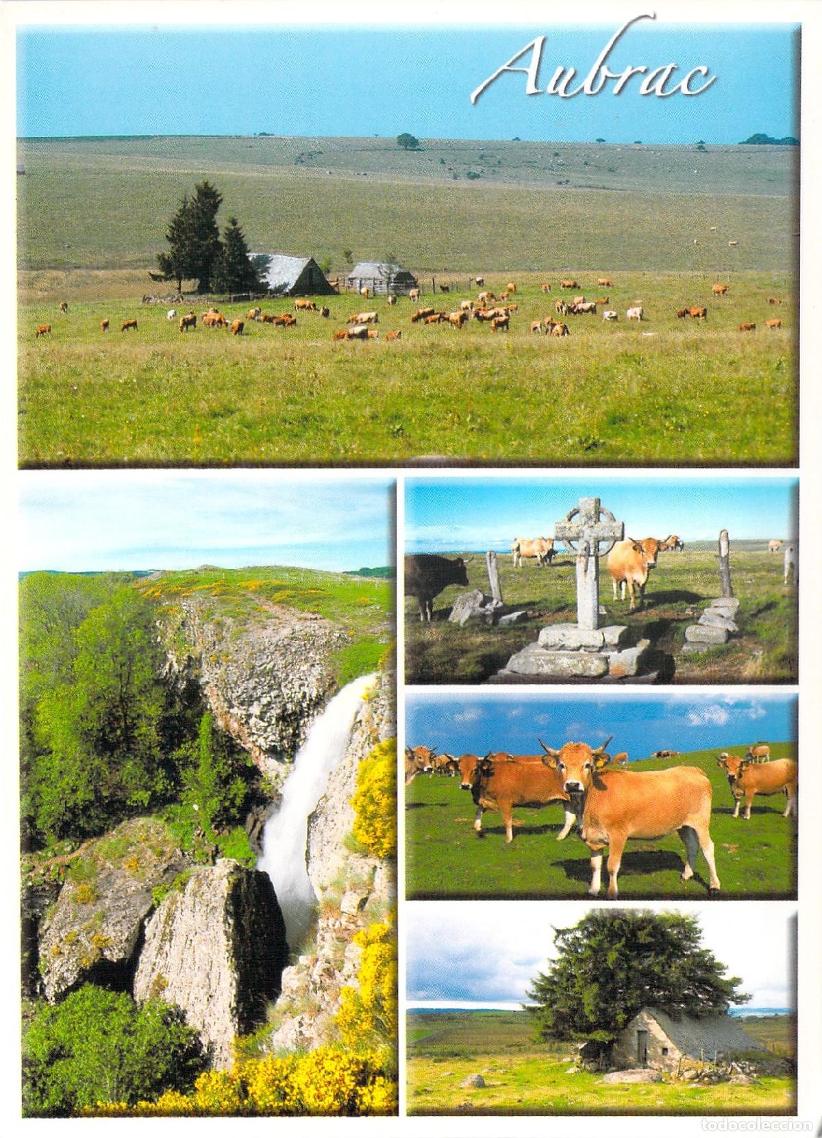 Postcards: Postal de los Montes de Aubrac, Aveyron, Francia - Paisajes y Naturaleza