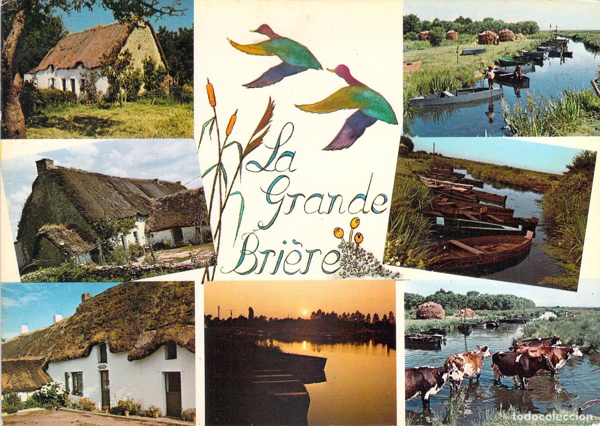 Cartes Postales: Postal de La Grande Bri&egrave;re, Francia - Paisajes y Casas Tradicionales