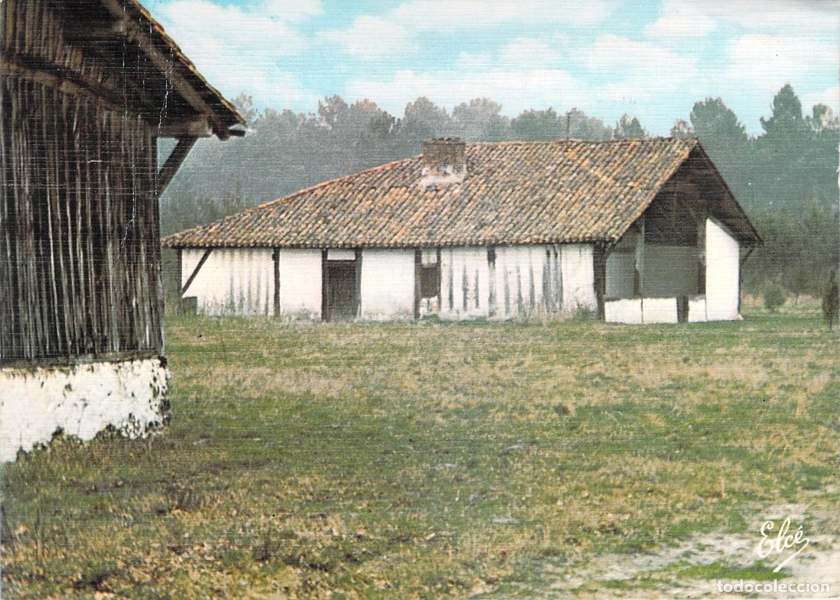 Cartoline: Postal de Antigua Granja en Landes, Francia - Arquitectura Rural