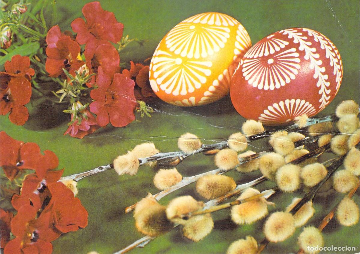 Cartoline: Postal de Pascua con Huevos Decorados y Flores de Sauce de Polonia