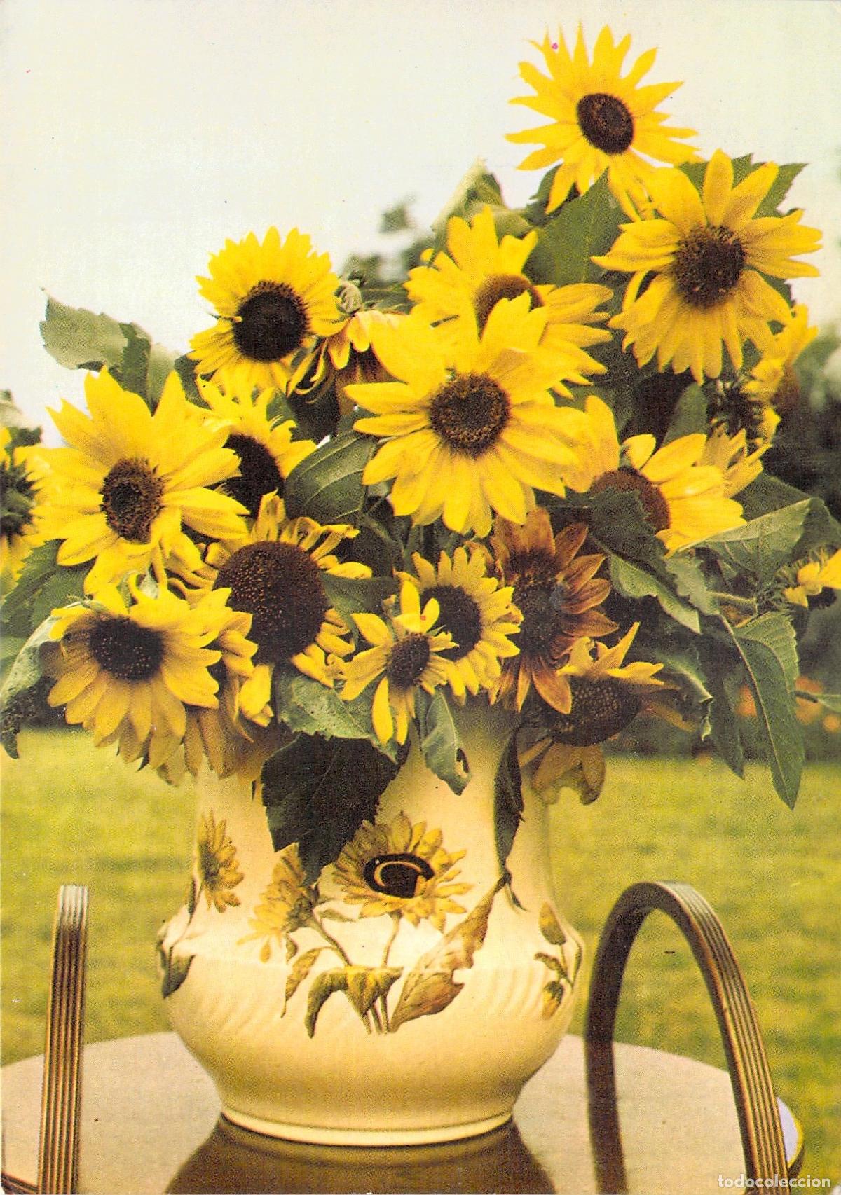 Postcards: Postal con Ramo de Girasoles en Jarr&oacute;n Fotograf&iacute;a de T. Zagoździński