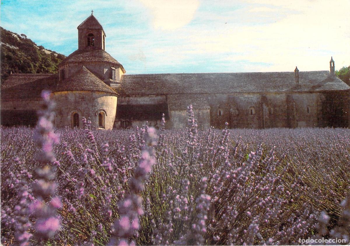 Postcards: Postal de la Abad&iacute;a de S&eacute;nanque y Campos de Lavanda en Provenza