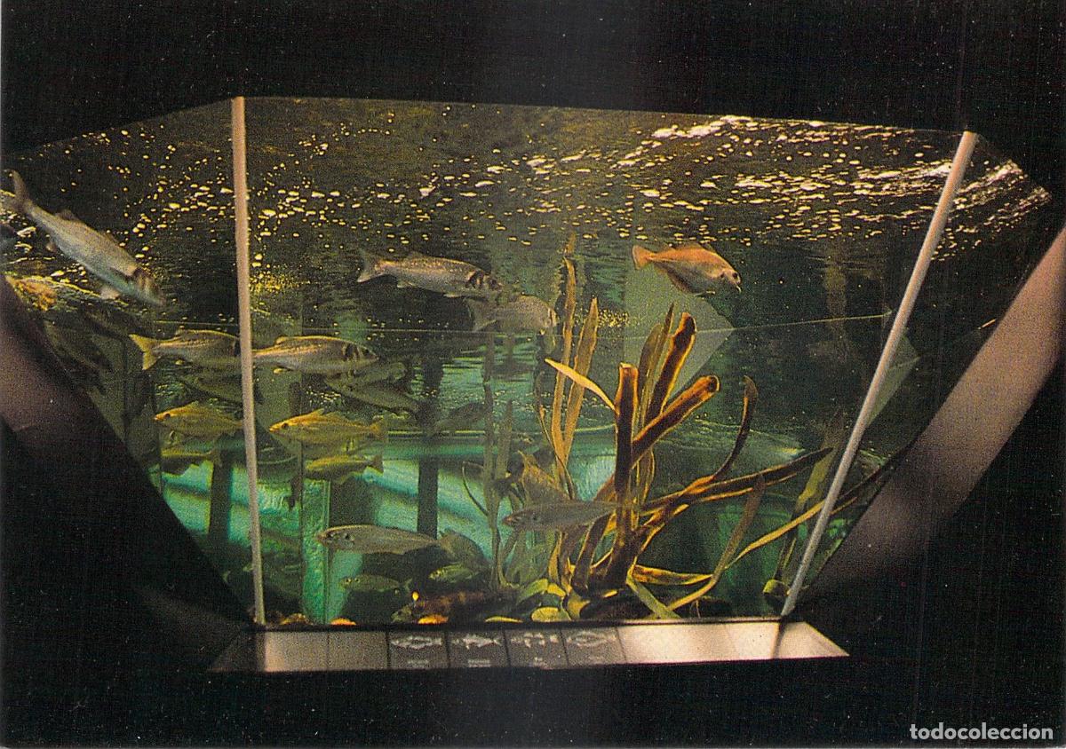 Postales: Postal Nausica&aacute; Centro Nacional del Mar Boulogne-sur-Mer