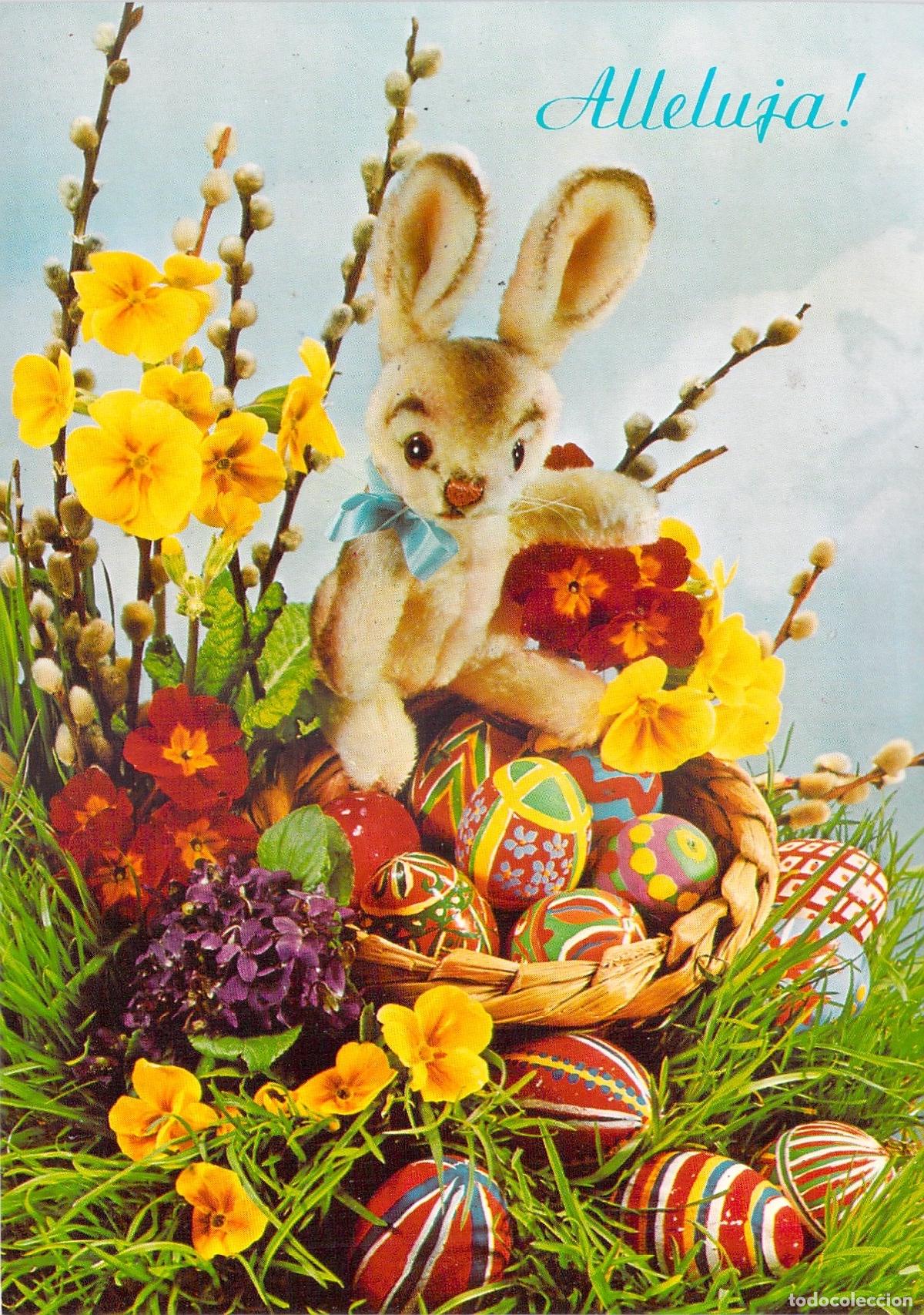 Postkarten: Postal de Pascua con Conejo y Huevos Decorados de Polonia
