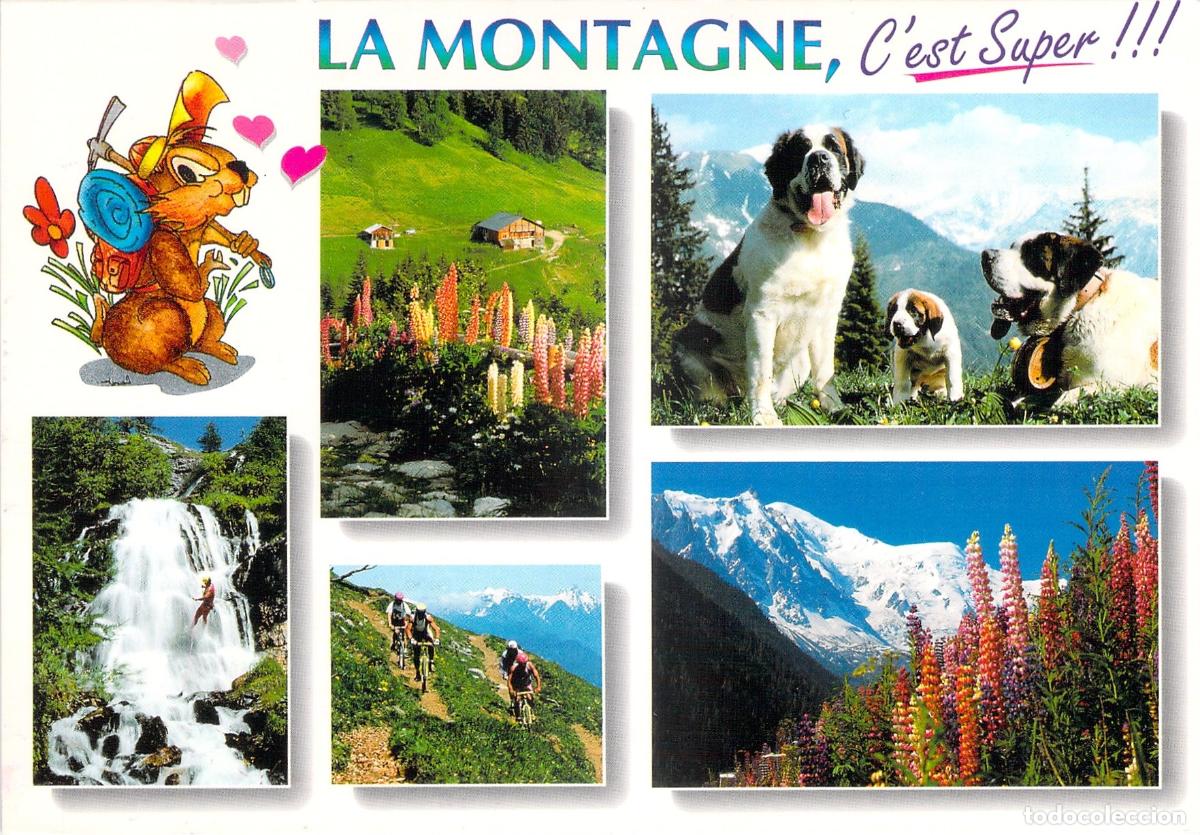 Postkarten: Tarjeta Postal de la Regi&oacute;n de Saboya, Alpes Franceses - Multivista
