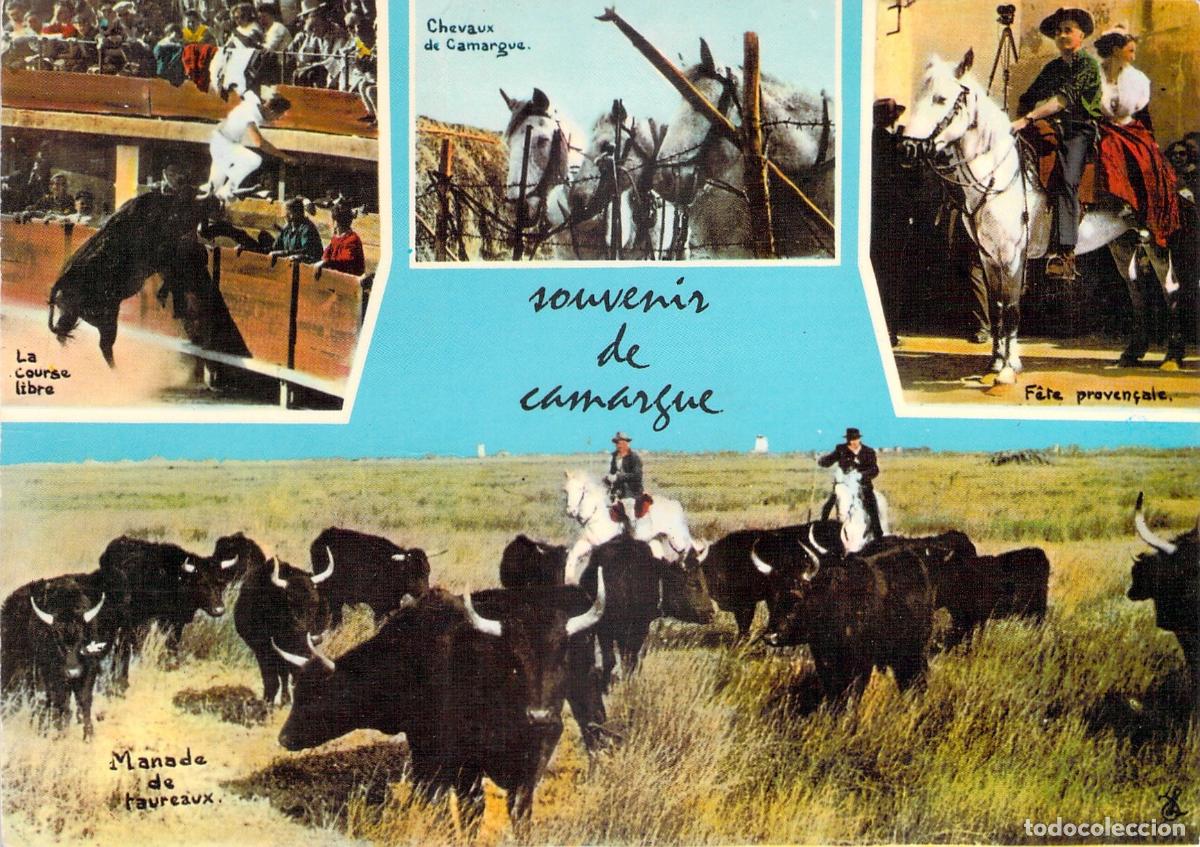 Postkarten: Postal Multi-vista de Recuerdos de la Camarga, Francia