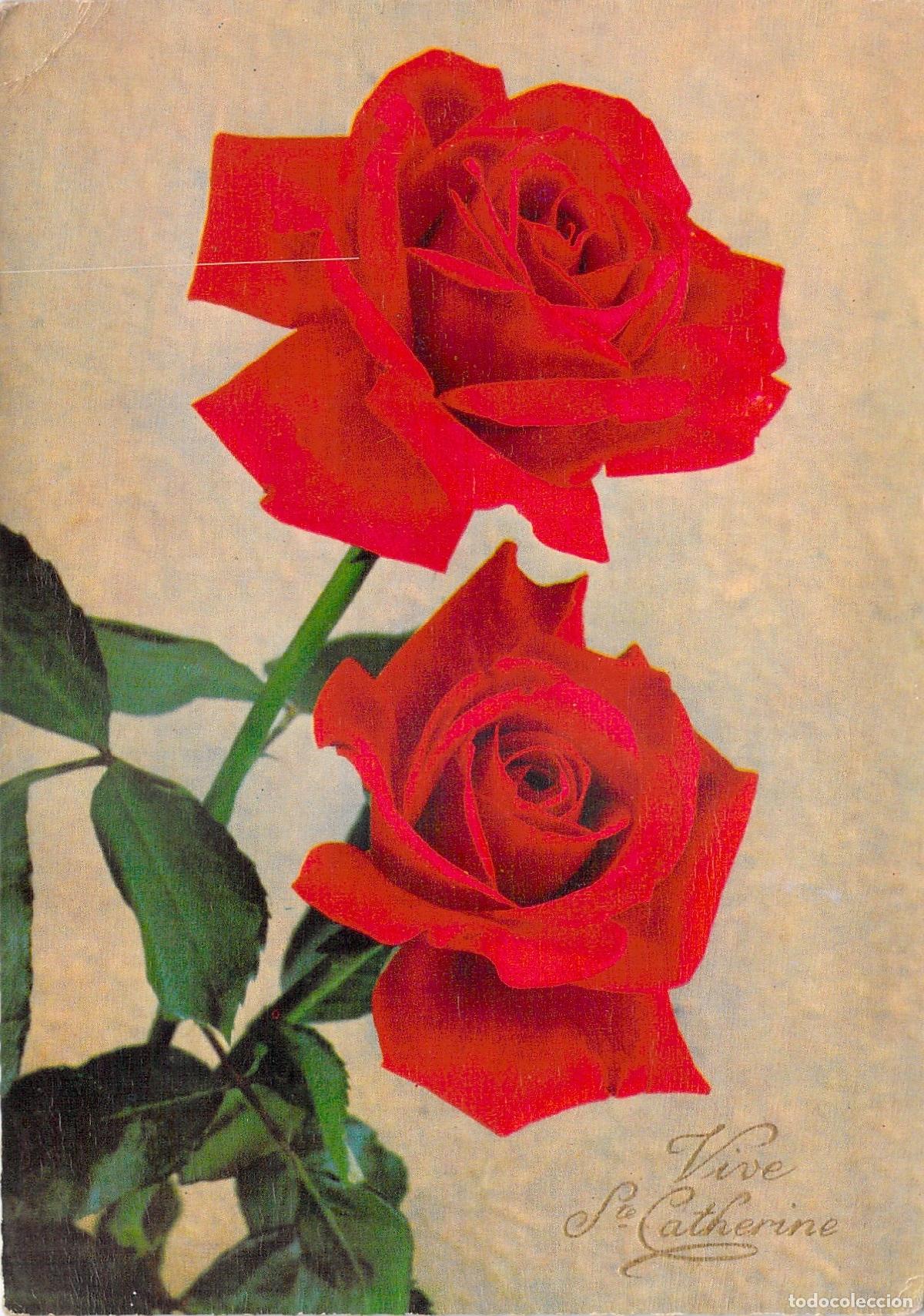 Postkarten: Postal Art&iacute;stica con Rosas Rojas - Vive Ste. Catherine