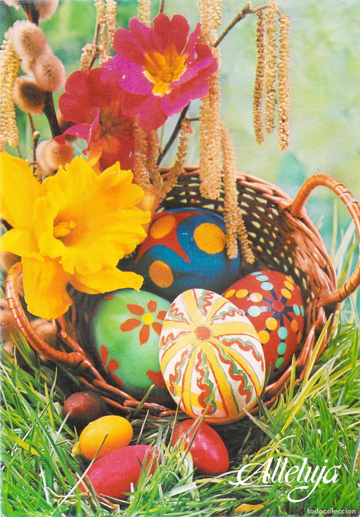 Postais: Postal de Pascua con Canasta de Huevos Decorados y Flores