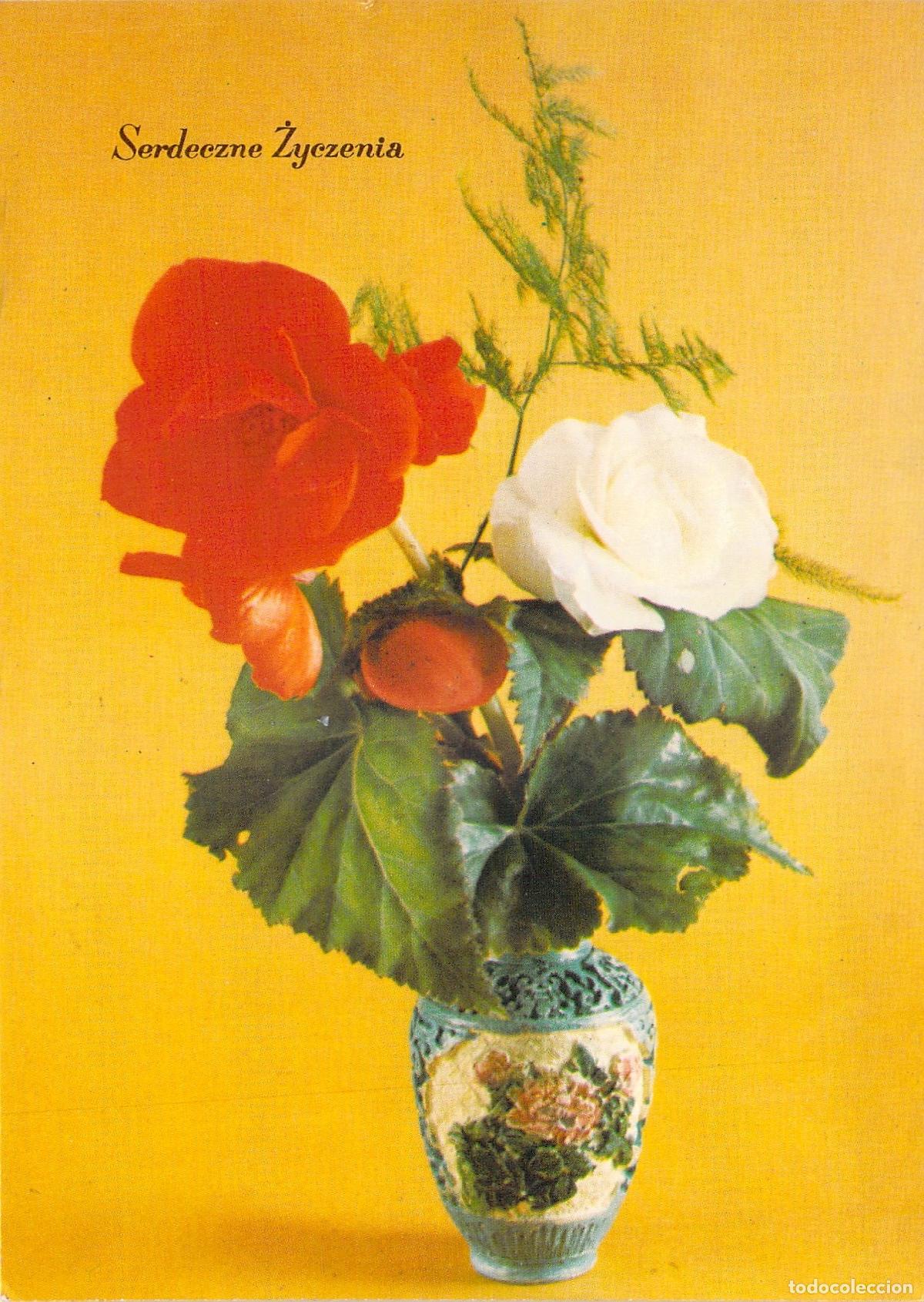 Postais: Postal de Felicitaciones con Flores Begonias Rojas y Blancas