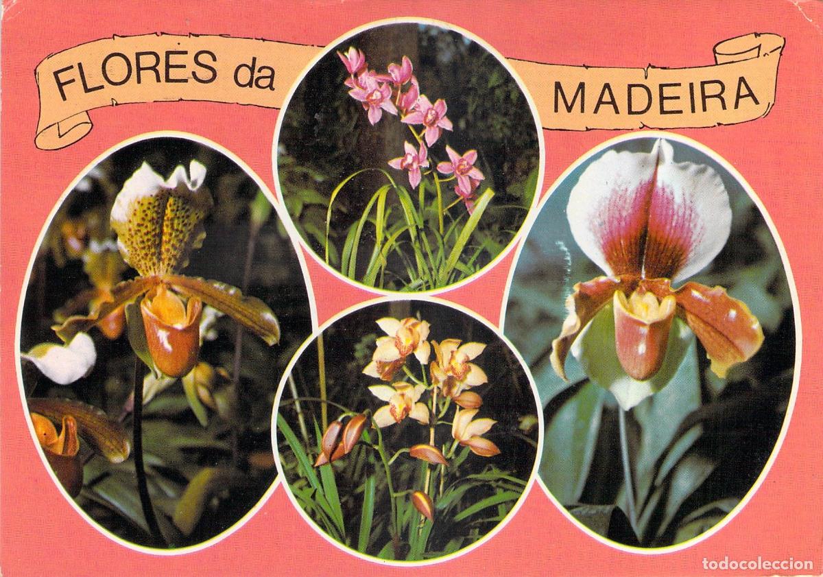 Postkarten: Tarjeta Postal Flores de Madeira Portugal con Orqu&iacute;deas