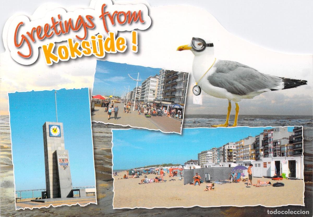 Cartes Postales: Postal de Koksijde B&eacute;lgica con Gaviota y Vistas de la Playa