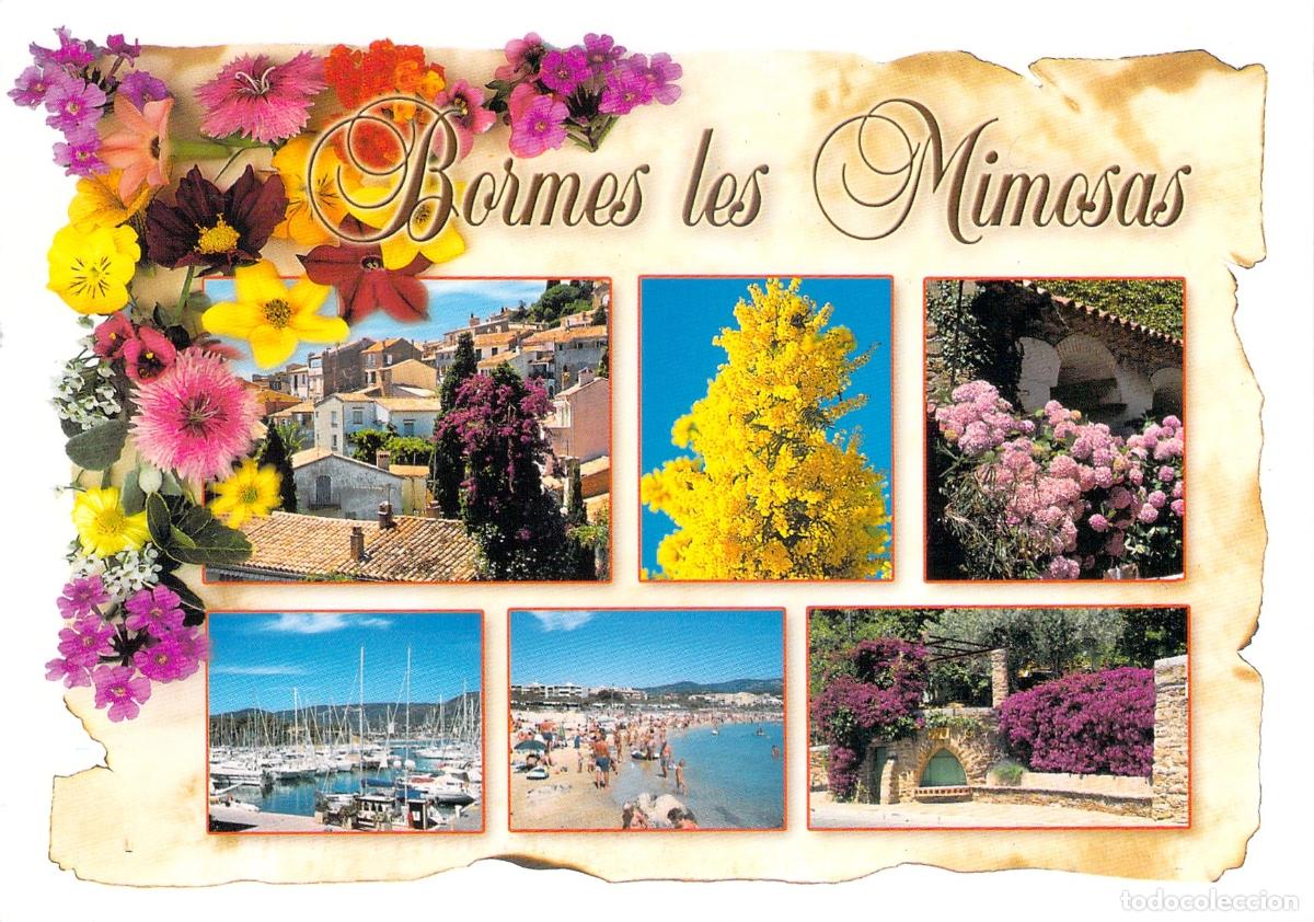 Cartes Postales: Postal de Bormes les Mimosas, Var, Francia - Costa Azul