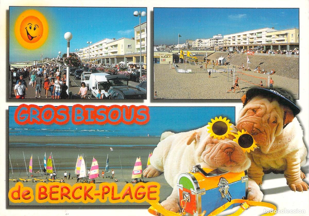 Cartes Postales: Postal de Berck-Plage Francia Costa de Opale con Perros Shar-Pei