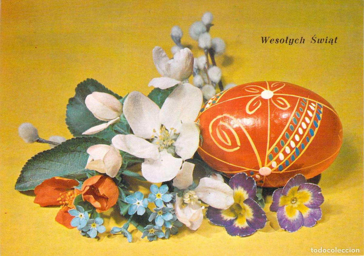 Postkarten: Postal de Pascua con Huevo Decorado y Flores de Primavera