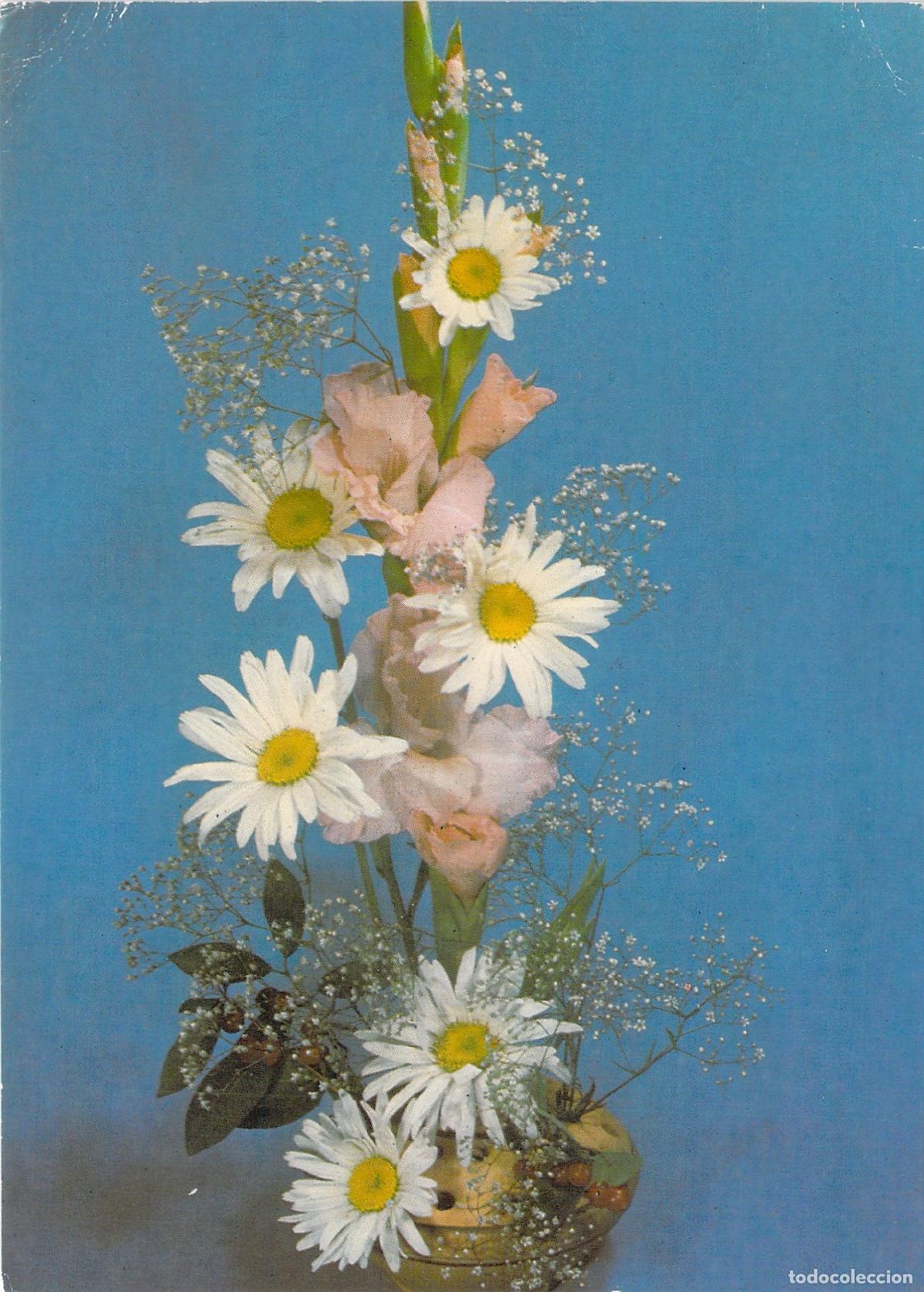 Postkarten: Postal con arreglo floral de margaritas y gladiolos