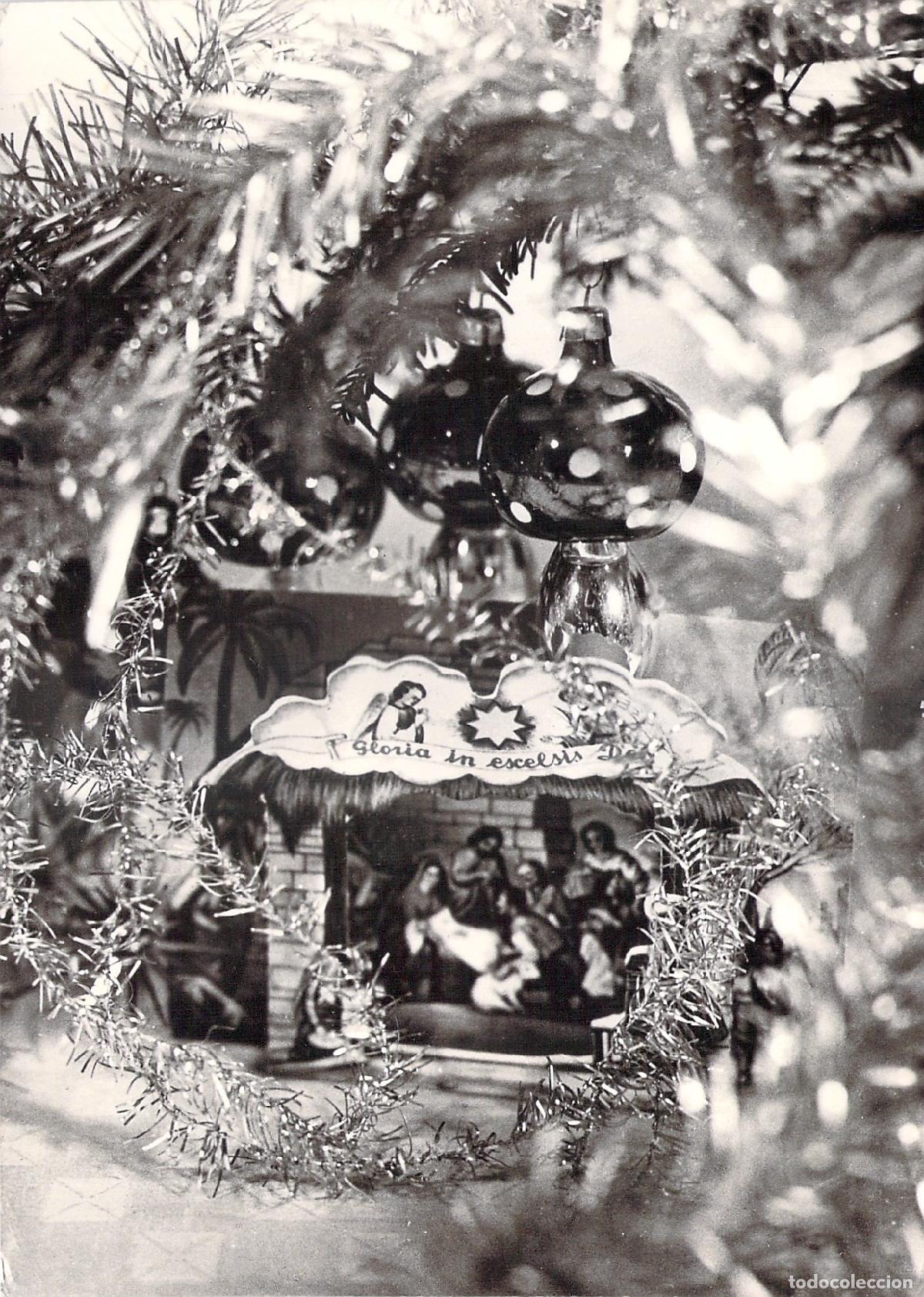 Postales: Postal de Navidad con Pesebre en &Aacute;rbol - Polonia