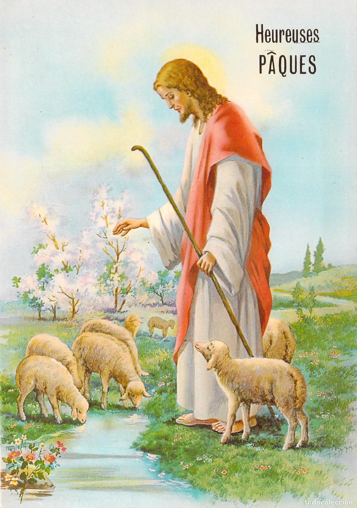 Postales: Postal de Pascua Jes&uacute;s el Buen Pastor con Ovejas
