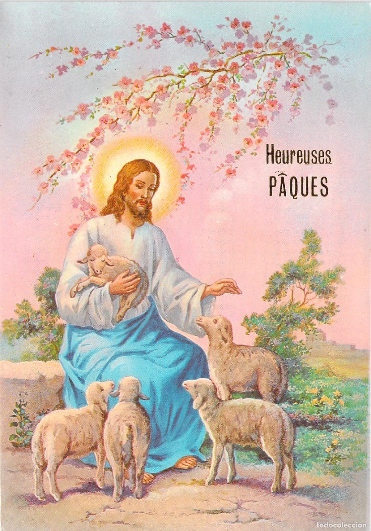 Postcards: Postal de Pascua Jesucristo Buen Pastor con Corderos