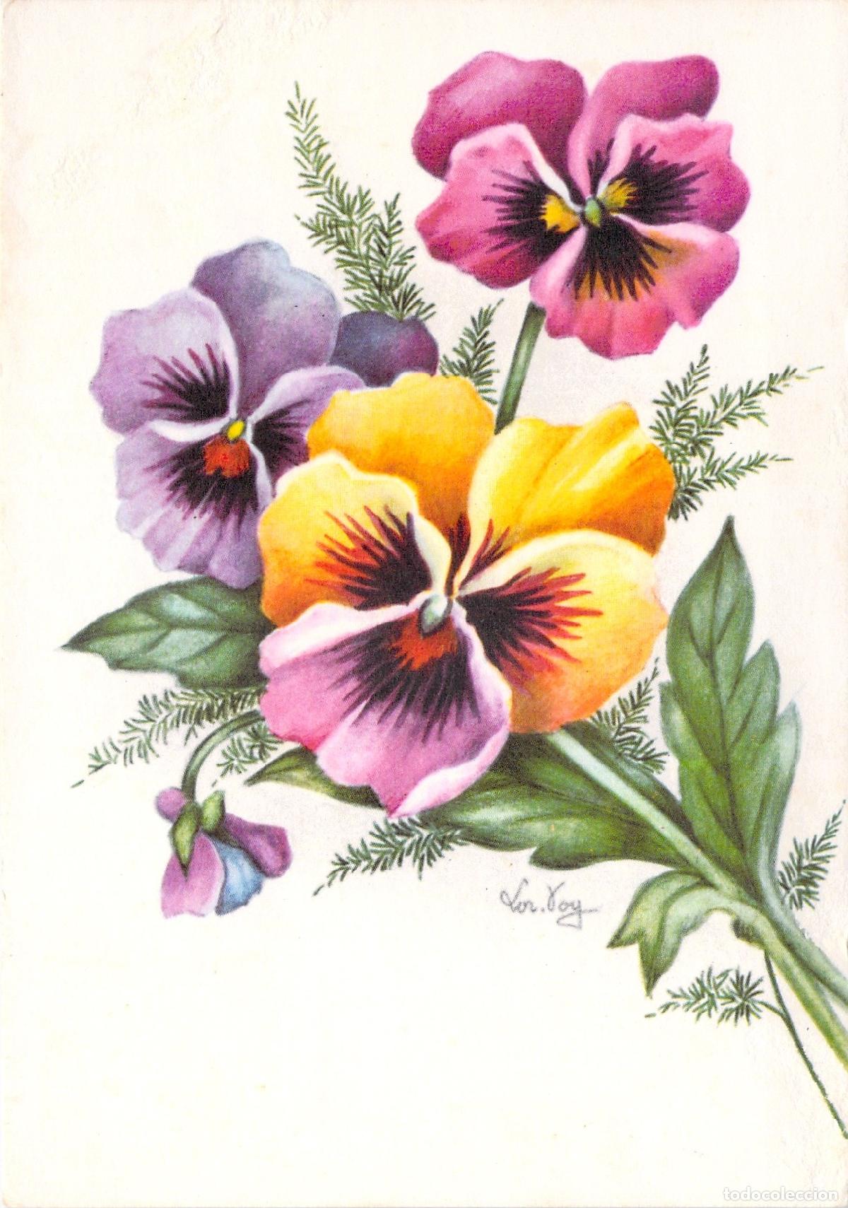 Postcards: Postal con ilustraci&oacute;n de flores pensamientos de colores