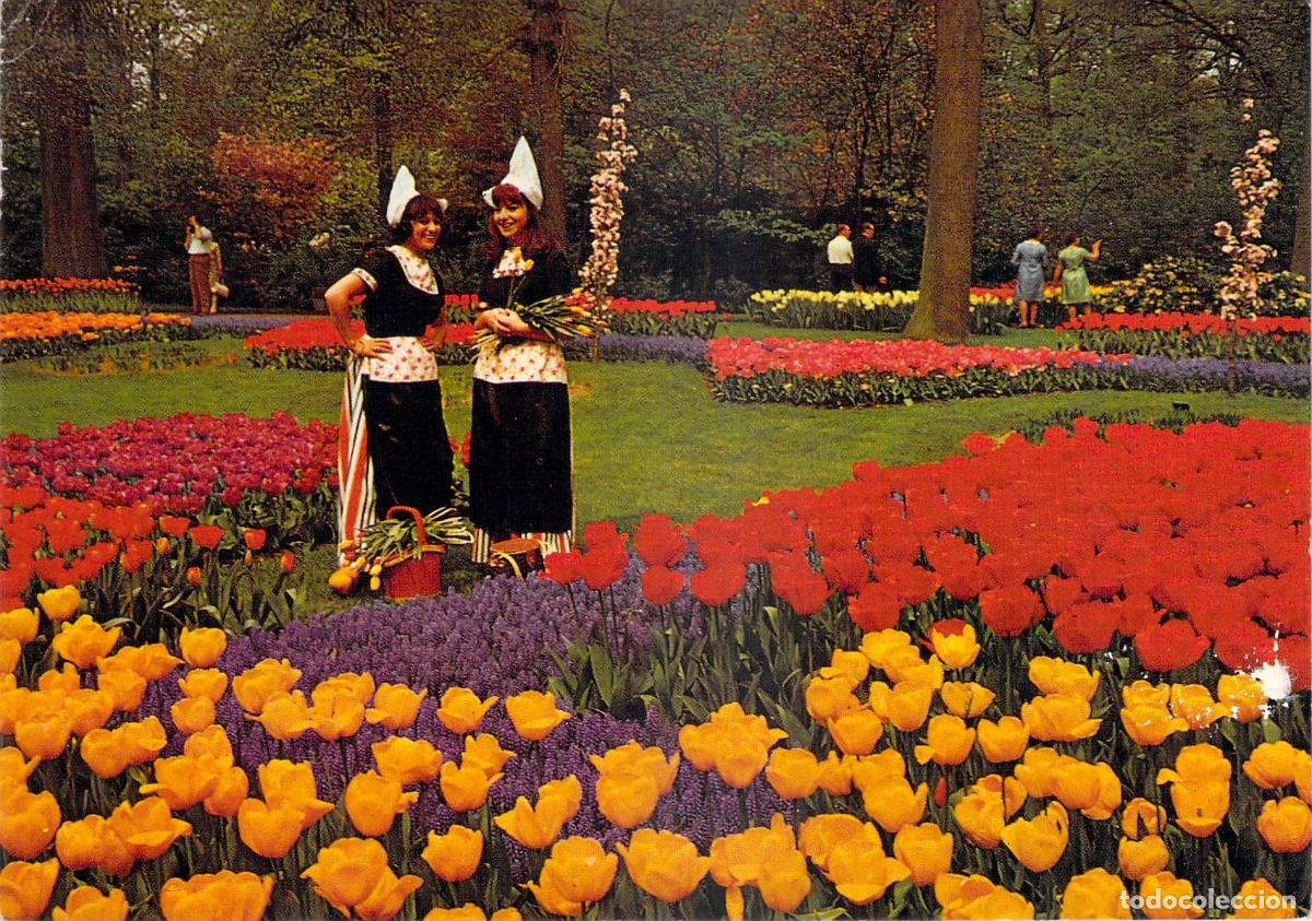 Postcards: Postal de Oldenburg con Jard&iacute;n de Tulipanes y Trajes T&iacute;picos