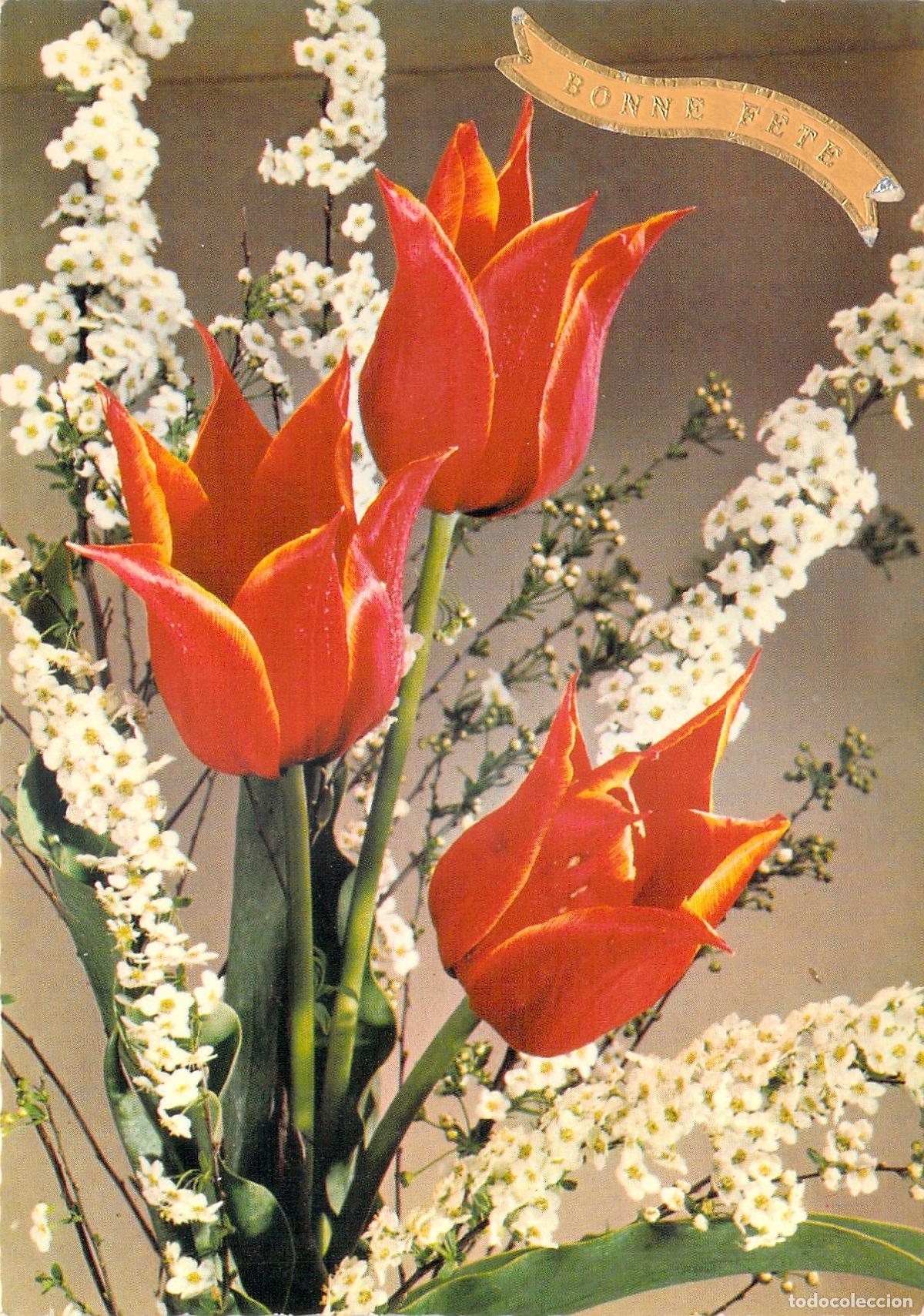 Postales: Postal de Tulipanes Naranjas y Flores Blancas Bonne F&ecirc;te