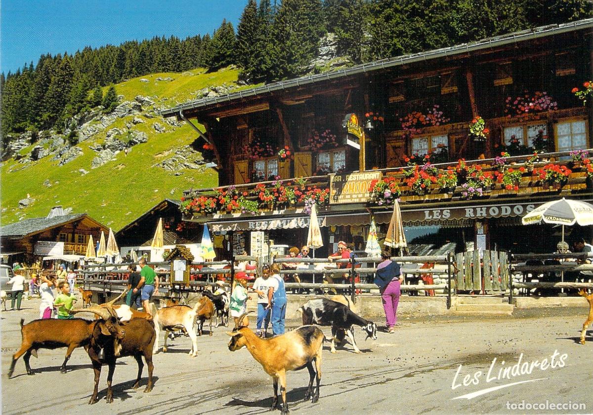 Postcards: Postal de Les Lindarets Alta Saboya Francia Aldea de las Cabras