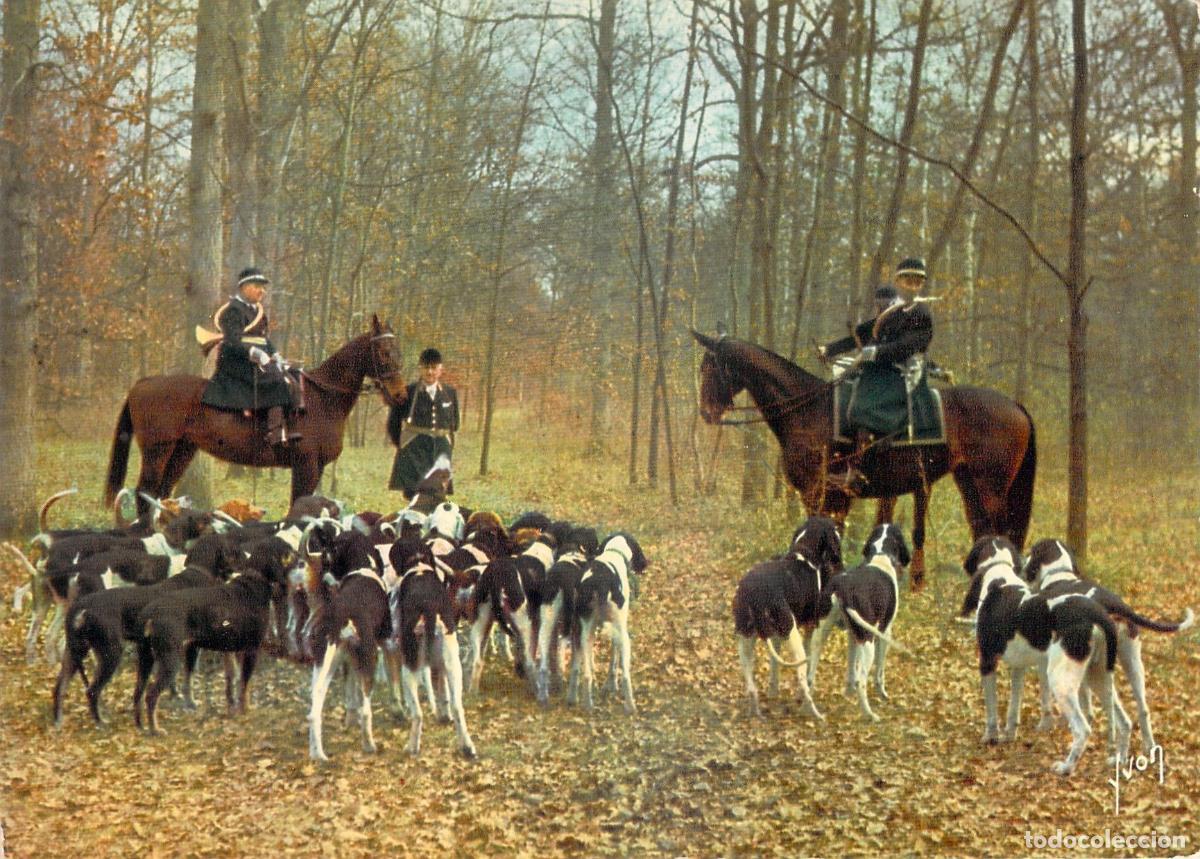 Postales: Postal de Caza en los Bosques de Francia por Barbier Petit