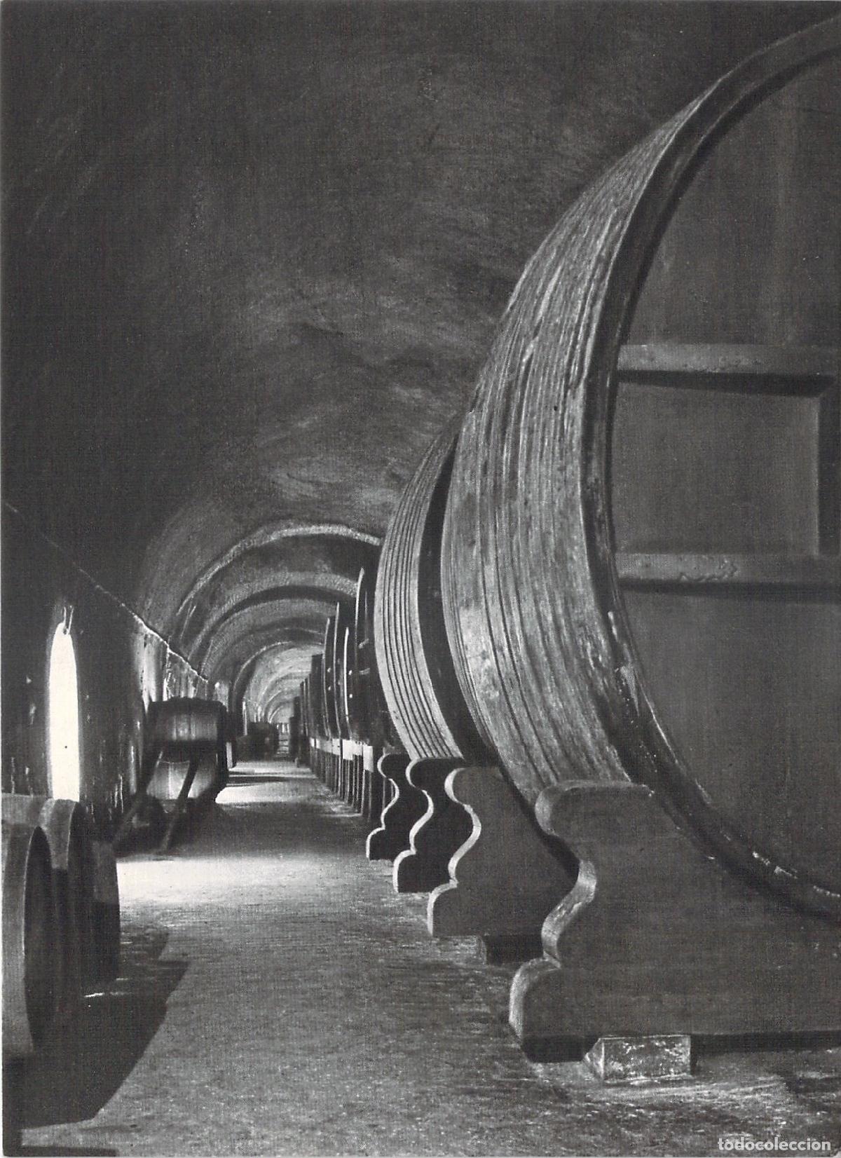 Postales: Postal Moet & Chandon Galerie des Vins de R&eacute;serve Epernay Francia