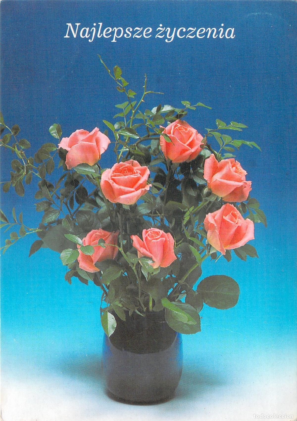Postales: Postal de Rosas Rosadas con Mensaje de Felicitaci&oacute;n en Polaco