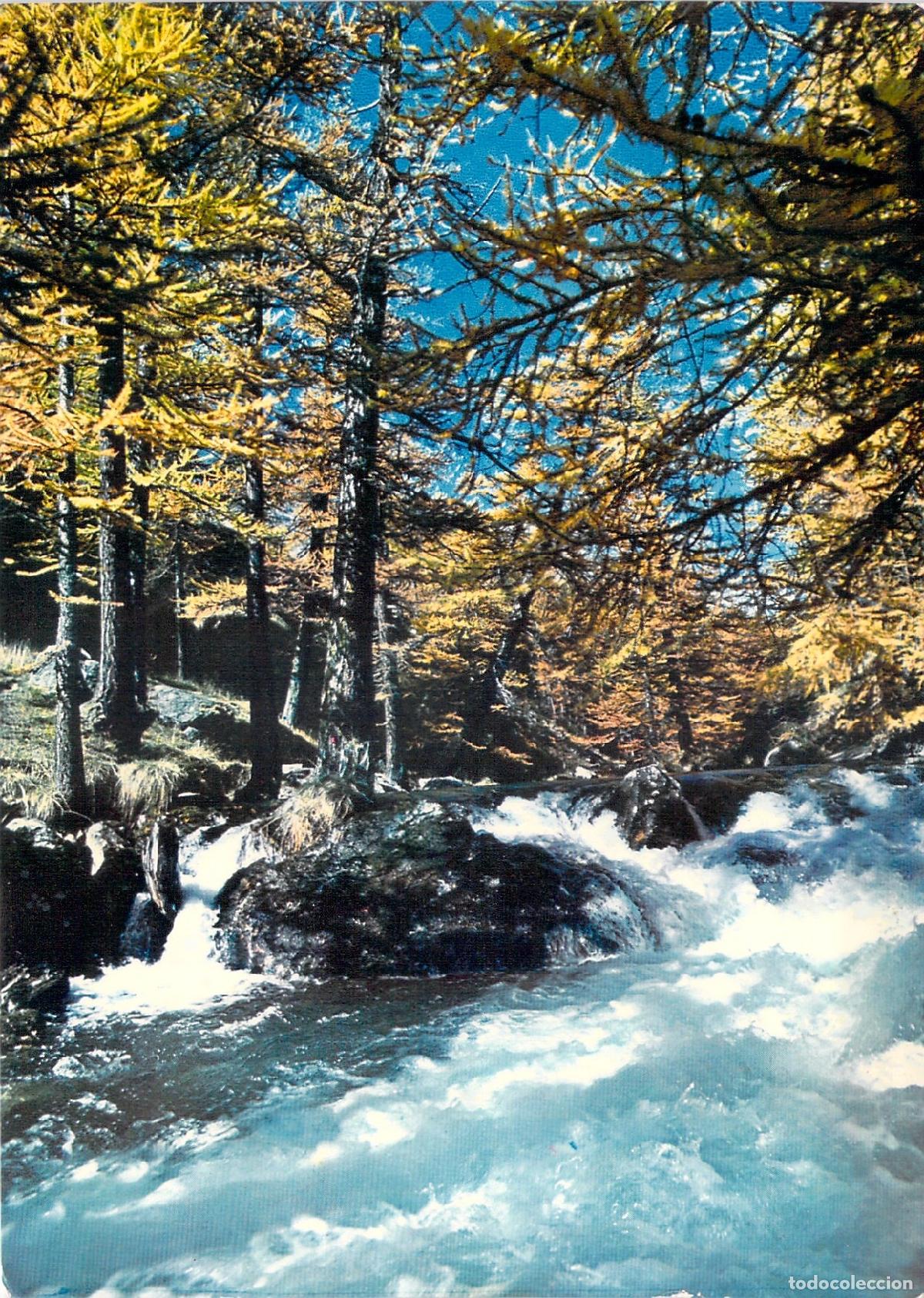 Postales: Postal de Paisaje Natural con R&iacute;o en Bosque Oto&ntilde;al - Francia
