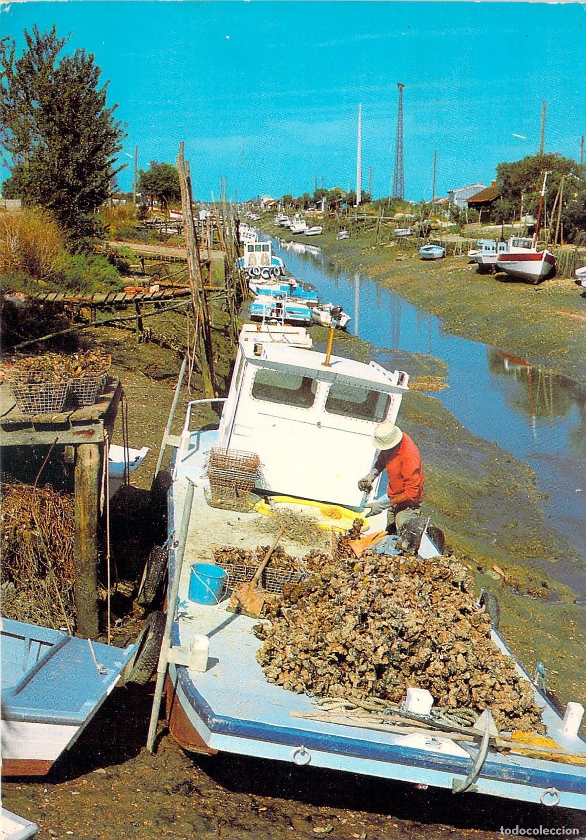 Postais: Postal de Ostricultor Trabajando en Canal de La Tremblade, Francia