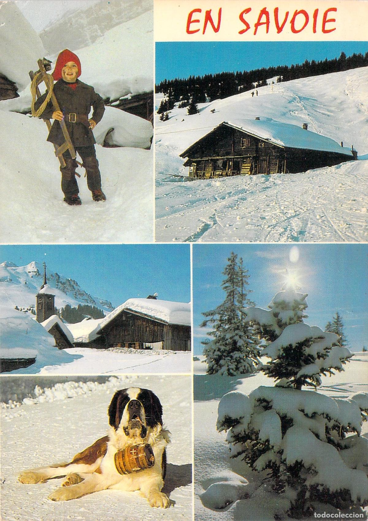 Postales: Postal de Invierno en Saboya Francia con Perro San Bernardo