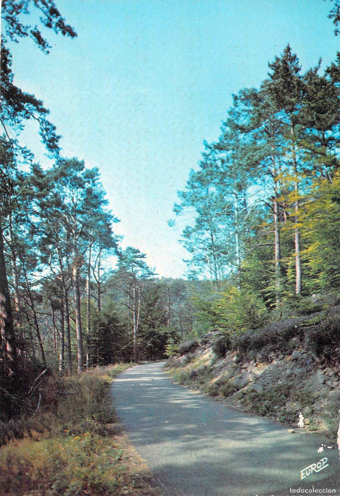 Postales: Postal de los Bosques de los Vosgos, Francia - Paisaje Natural