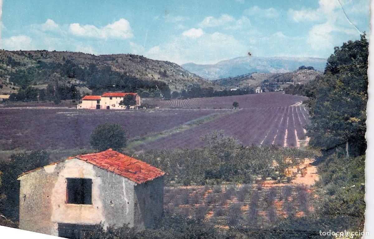Postales: Postal de Campos de Lavanda en Moustiers-Sainte-Marie, Provenza
