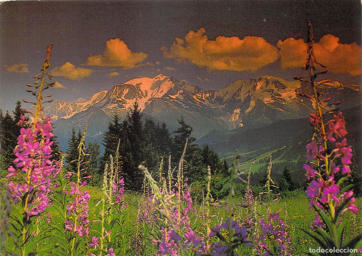 Postales: Postal de la cadena del Mont-Blanc desde Mont-d'Arbois, Francia