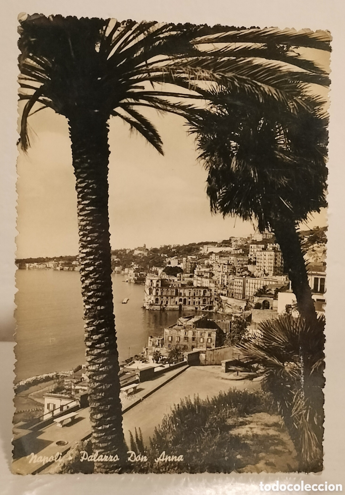Postales: Napoli,Palazzo Don Anna