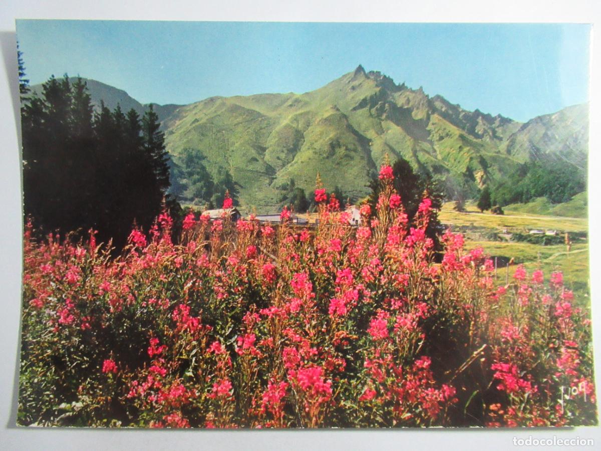 Postales: Sin identificar - S/C