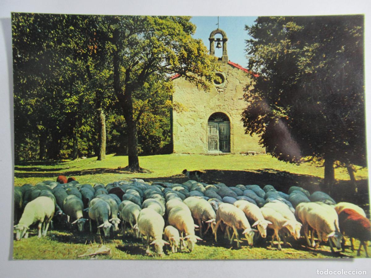 Postales: Postal sin identificar - S/C