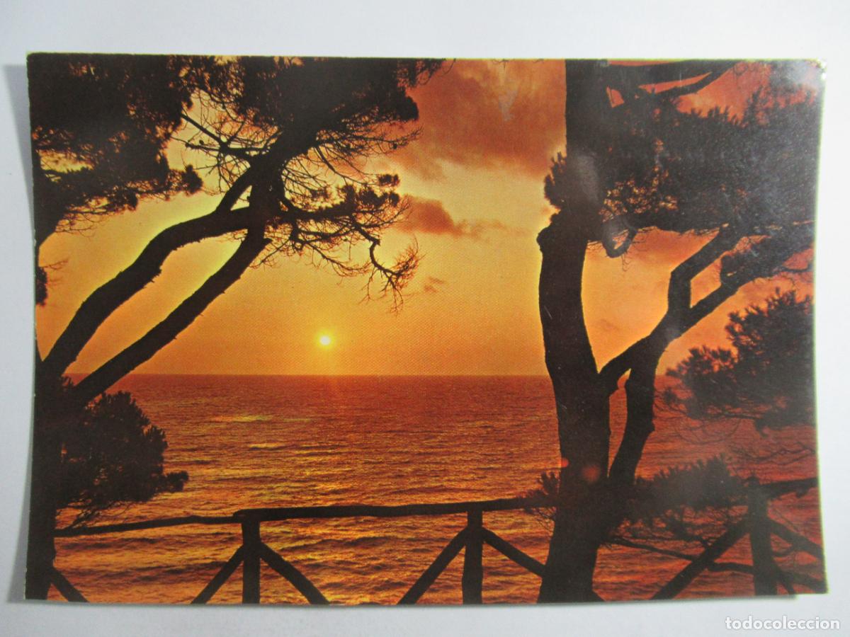 Postales: Postal Italiana - Atardecer - Escrita