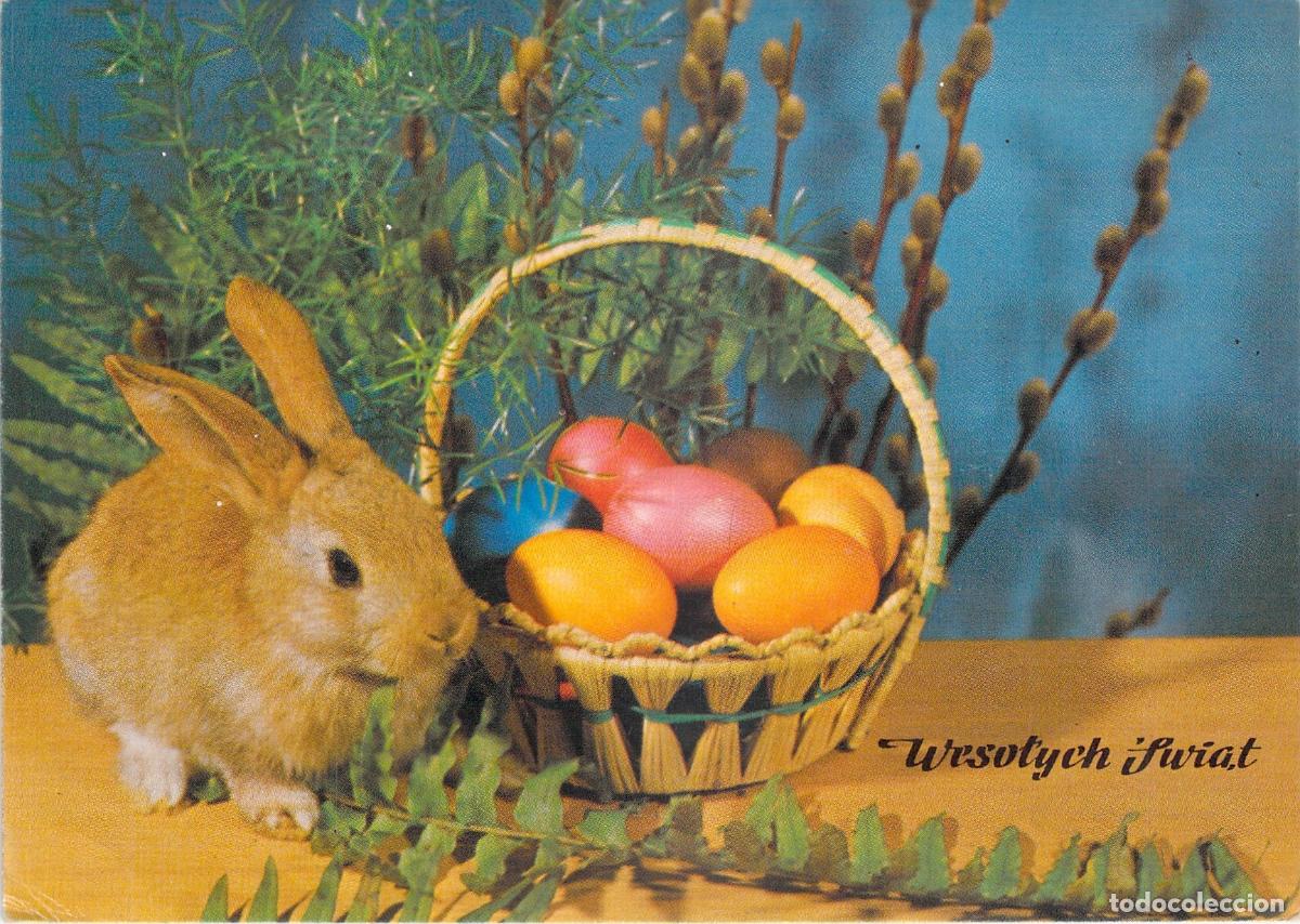 Postales: Postal de Pascua con Conejo y Cesta de Huevos Coloridos