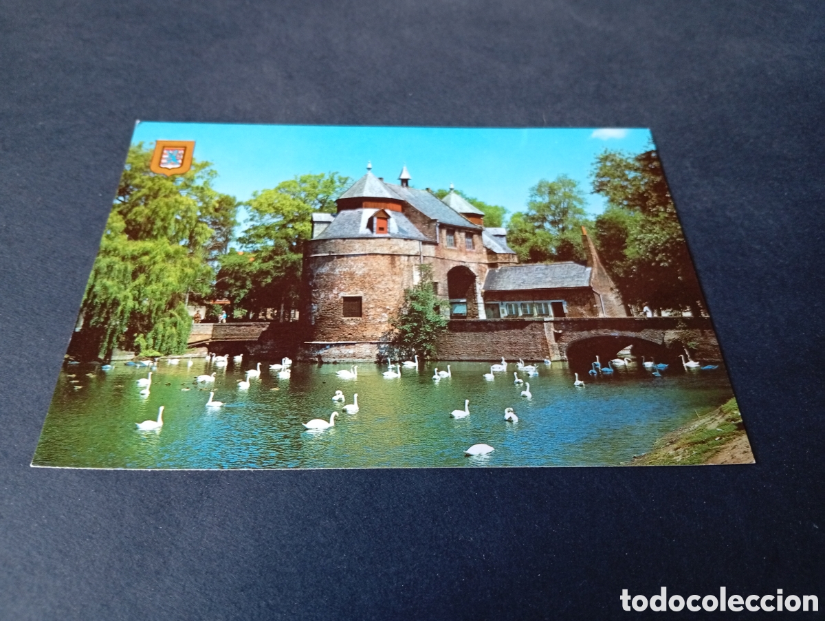 Postales: Postal Brujas estanque