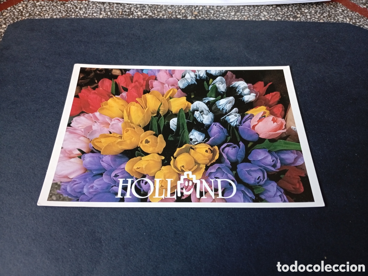 Postales: Postal Holanda.........