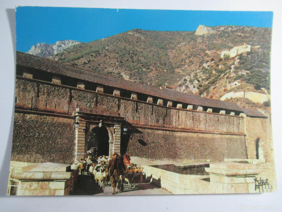 Postales: Lumieres et Couleur du Conflent - Villefranche-du-Conflent - La Transhumance - S/C