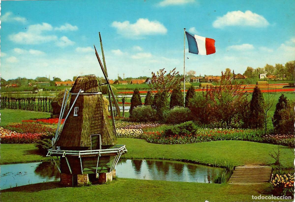 Postales: N&ordm; 900/52-HOLLAND. Bloemenland, Molenland. Land of Flowers and Wind-mills. Sin circular. ED. KRUGER